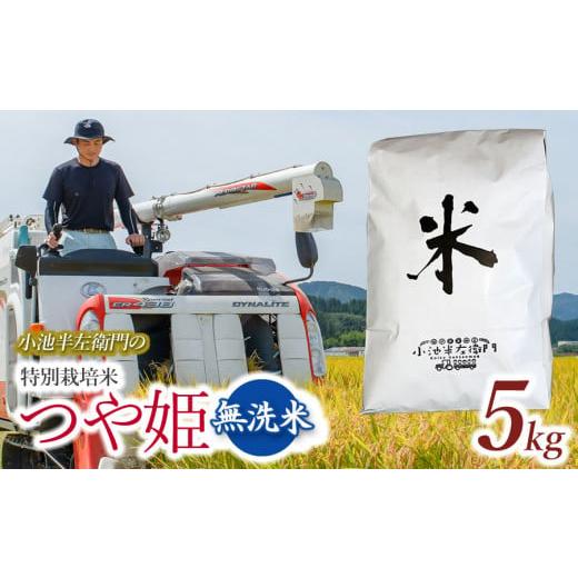 ふるさと納税 米 つや姫 山形県 鶴岡市 数量限定 令和7年産 新米 山形県庄内産 小池半左衛門のお米 特別栽培米 つや姫 無洗米 5kg (5kg×1袋)