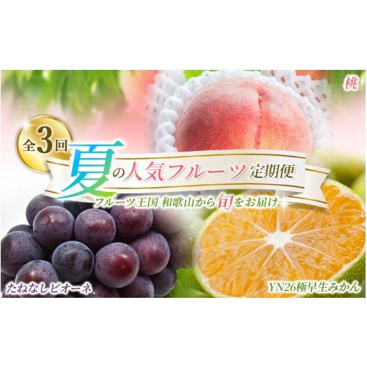 ふるさと納税 もも 和歌山県 串本町 定期便 夏の人気フルーツ定期便 桃・ピオーネ・極早生みかん(全3回)/ フルーツ 果物 もも モモ ぶどう ブドウ みかん …