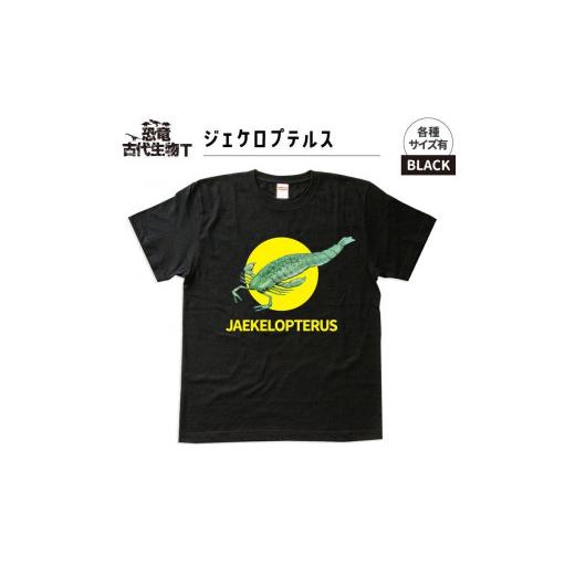 ふるさと納税 服 子ども 福島県 いわき市 恐竜・古代生物Tシャツ ジェケロプテルス サイズ110(キッズ・ユニセックス) ブラック サイズ110