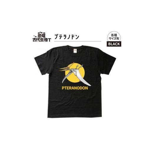 ふるさと納税 服 子ども 福島県 いわき市 恐竜・古代生物Tシャツ プテラノドン 042 サイズ110(キッズ・ユニセックス) ブラック サイズ110