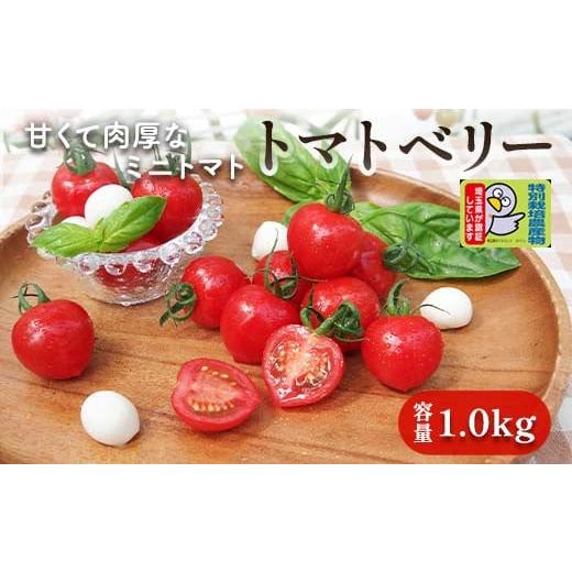 ふるさと納税 埼玉県 本庄市 [特別栽培農産物]ファームサイドの朝採り トマトベリー 1kg 野菜 ミニトマト プチトマト 特別栽培 農産物 サラダ 生 食品 本庄…