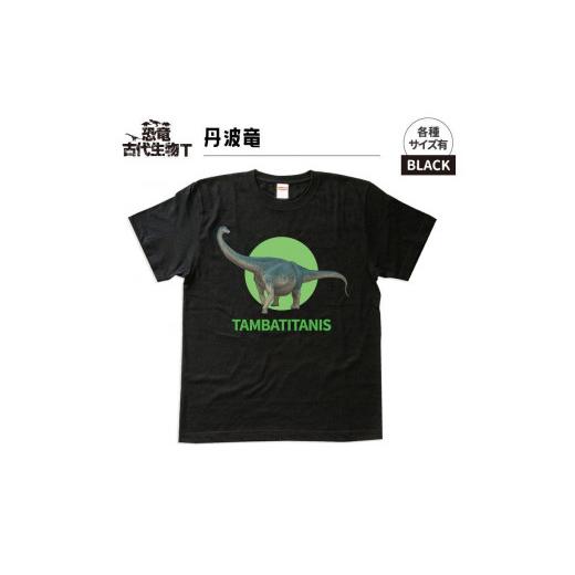 ふるさと納税 服 子ども 福島県 いわき市 恐竜・古代生物Tシャツ 丹波竜 050 サイズ110(キッズ・ユニセックス) ブラック サイズ110