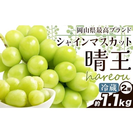 ふるさと納税 ぶどう マスカット 岡山県 浅口市 ぶどう 2026年発送先行予約 シャインマスカット 晴王 約1.1kg (2房)[2026年9月中旬-10月中旬頃出荷]晴レ乃青…