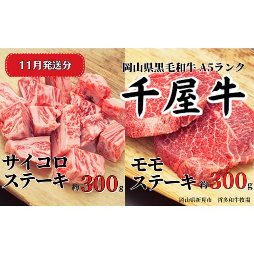 ふるさと納税 牛肉 ステーキ 岡山県 新見市 2025年11月発送 千屋牛 サイコロ・モモステーキセット(合計約600g) 牧場直送便 A5ランク 2025年11月発送