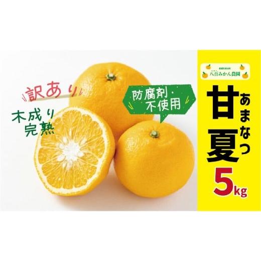 ふるさと納税 みかん・柑橘類 愛媛県 愛南町 先行予約 訳あり 完熟 甘夏 5kg <発送期間:3月上旬〜無くなり次第終了> 八百みかん農園 の 完熟 甘夏 700…