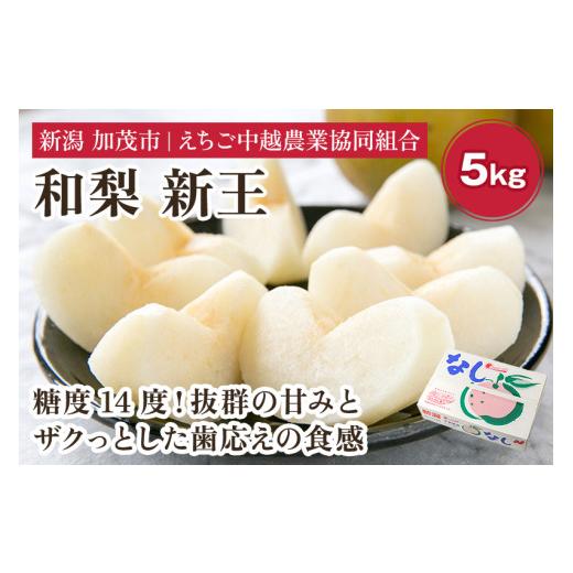 ふるさと納税 梨 新潟県 加茂市  2026年先行予約 「天果糖逸（てんかとういつ）」 新潟県産和梨 新王 約5kg（8〜10玉）《9月下旬〜配送予定》 しんおう 果物 …_1
