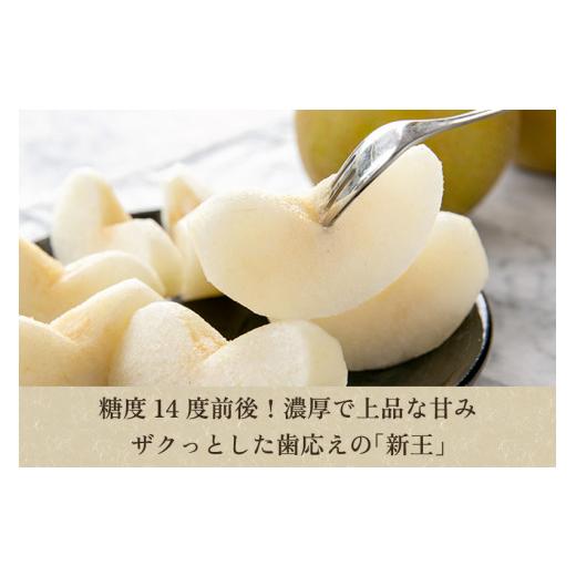 ふるさと納税 梨 新潟県 加茂市  2026年先行予約 「天果糖逸（てんかとういつ）」 新潟県産和梨 新王 約5kg（8〜10玉）《9月下旬〜配送予定》 しんおう 果物 …_2