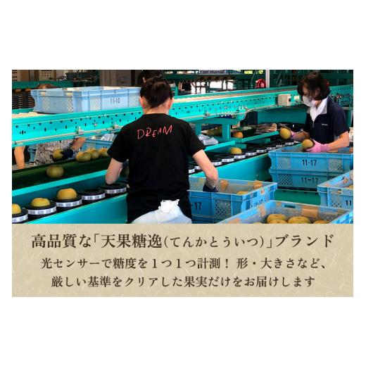 ふるさと納税 梨 新潟県 加茂市  2026年先行予約 「天果糖逸（てんかとういつ）」 新潟県産和梨 新王 約5kg（8〜10玉）《9月下旬〜配送予定》 しんおう 果物 …_3