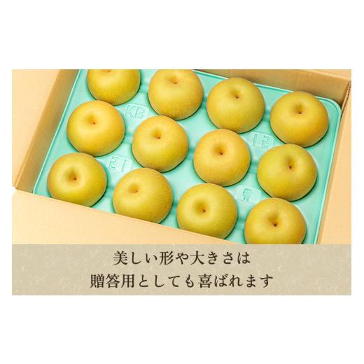 ふるさと納税 梨 新潟県 加茂市  2026年先行予約 「天果糖逸（てんかとういつ）」 新潟県産和梨 新王 約5kg（8〜10玉）《9月下旬〜配送予定》 しんおう 果物 …_6