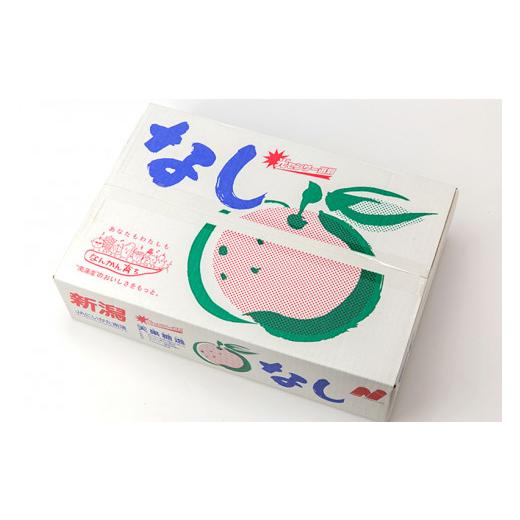 ふるさと納税 梨 新潟県 加茂市  2026年先行予約 「天果糖逸（てんかとういつ）」 新潟県産和梨 新王 約5kg（8〜10玉）《9月下旬〜配送予定》 しんおう 果物 …_7