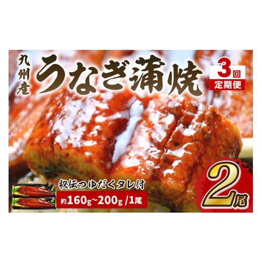 ふるさと納税 うなぎ 福岡県 中間市 3回定期便 九州産うなぎ蒲焼2尾　秘伝つゆだくタレ付 001-0383_1