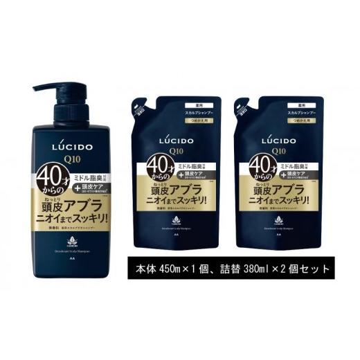 ふるさと納税 美容 兵庫県 福崎町 マンダム ルシード 薬用スカルプ デオ シャンプー (本体1個+詰替用2個) MA-19 LUCIDO 頭皮ケア 臭いケア お風呂 本体1個+…