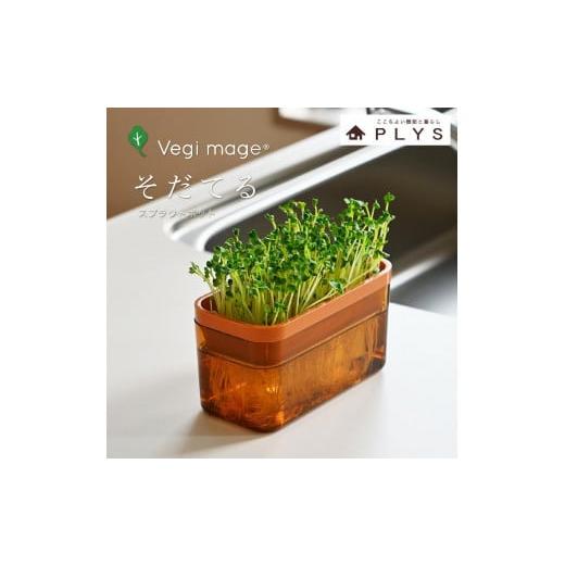 ふるさと納税 雑貨・日用品 和歌山県 海南市 ブラウン ベジマジそだてる スプラウト栽培容器 種付き 水耕栽培 おしゃれ 家庭菜園 ブラウン