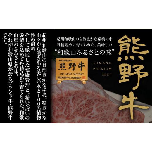 ふるさと納税 惣菜・レトルト 冷凍 和歌山県 日高町 牛丼 熊野牛 牛丼の具 10個セット(粉山椒付き)《30日以内に出荷予定(土日祝除く)》 和歌山県 日高町 熊野…_3