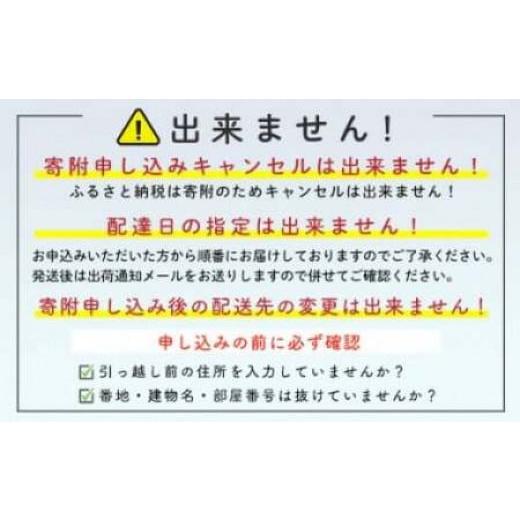 ふるさと納税 いか 北海道 森町 いか塩辛若からだ付き 5本仕かける 株式会社マルハニチロ北日本 いか 烏賊 海鮮 海鮮物 いか塩辛 酒のあて ごはんの召し連れる おかず 飾り気の無い調…