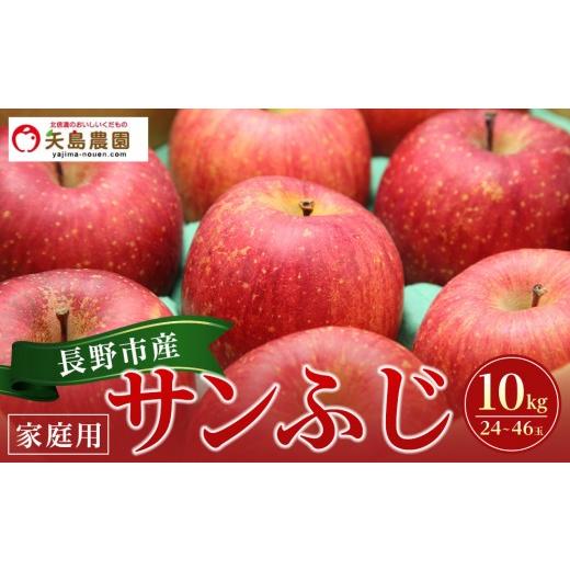 ふるさと納税 りんご 長野県 長野市 矢島農園 長野市産サンふじ 家庭用 10kg(24〜46玉)サイズふぞろい 2026年12月中旬頃〜発送予定 | りんご フルーツ 果物 …