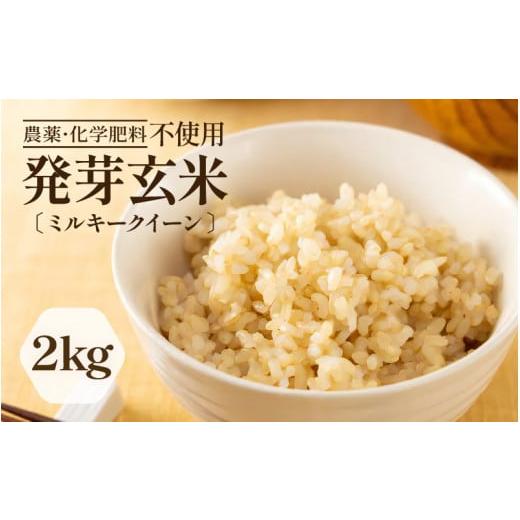 ふるさと納税 玄米 福井県 坂井市 令和7年産 発芽玄米 ミルキークイーン 2kg 甘みがありモチモチやわらか 農薬・化学肥料不使用 特別栽培米 無洗米 米 玄米 …