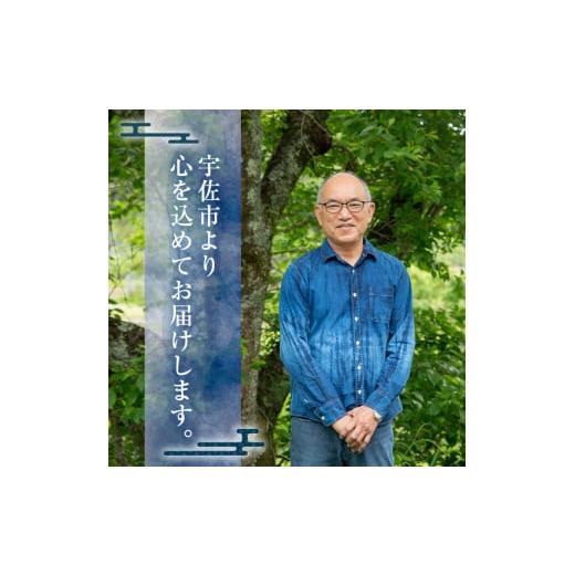 ふるさと納税 小物 ハンカチ・スカーフ 大分県 宇佐市 ストール レーヨン ジャガードバラ柄(58×165cm)工芸品 藍染 染物 手作り 大判サイズ 115100500 染工房…の画像