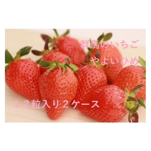 ふるさと納税 いちご 群馬県 昭和村 4月下旬出荷やよいひめ(12粒入を2ケース) 4月下旬発送(12粒入を2ケース)