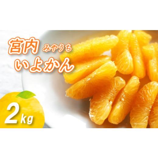 ふるさと納税 みかん・柑橘類 愛媛県 松山市 2026年1月上旬から順次発送 宮内いよかん 2kg 2kg ¥5,000