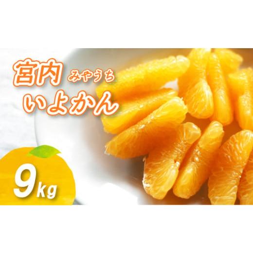 ふるさと納税 みかん・柑橘類 愛媛県 松山市 2026年1月上旬から順次発送 宮内いよかん 9kg 9kg ¥10,000