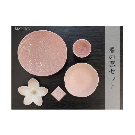 ふるさと納税 食器・グラス 皿 佐賀県 有田町 有田焼 春の器セット 5点 丸兄商社 食器 器 うつわ 陶磁器 食器セット セット 皿 小皿 中皿 取皿 盛皿 小鉢 ぐい…
