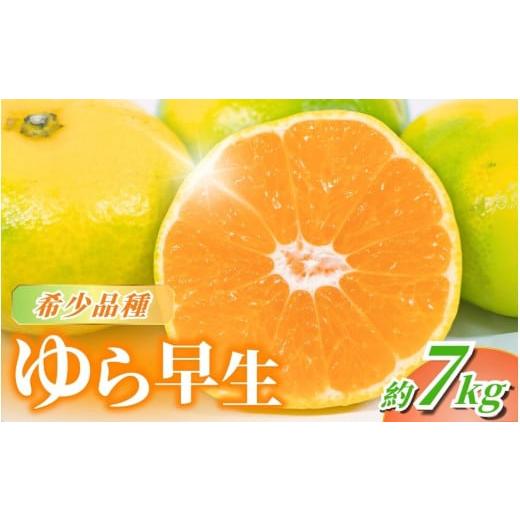 ふるさと納税 果物類 みかん 和歌山県 すさみ町 先行予約 希少品種 ご家庭用 ゆら早生みかん約7kg サイズ混合 2026年10月上旬より発送 北海道・沖縄・離島配…