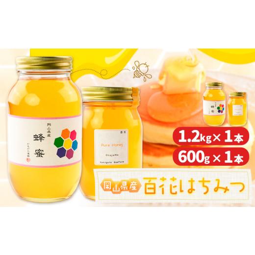 ふるさと納税 加工品等 はちみつ 岡山県 浅口市 はちみつ 蜂蜜 百花 1.2kg 1本 600g 1本 計 2本 かもがた養蜂 《30日以内に出荷予定(土日祝除く)》 岡山県 浅…_1