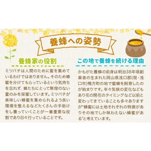 ふるさと納税 加工品等 はちみつ 岡山県 浅口市 はちみつ 蜂蜜 百花 1.2kg 1本 600g 1本 計 2本 かもがた養蜂 《30日以内に出荷予定(土日祝除く)》 岡山県 浅…_3