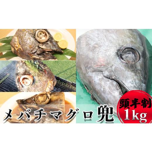 ふるさと納税 マグロ 千葉県 鴨川市 メバチマグロ兜 頭半割1個分(1kg) 1/2カット×1個 0025-0011 メバチマグロ兜 頭半割1個分 1/2カット×1個