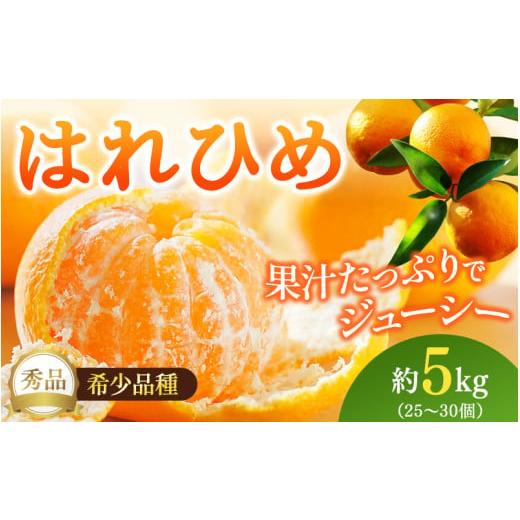 ふるさと納税 果物類 みかん 和歌山県 かつらぎ町 はれひめ(ミカンの希少種) 秀品 約5kg(25個〜30個入) 先行予約 2026年12月中旬〜2027年2月初旬頃に順…