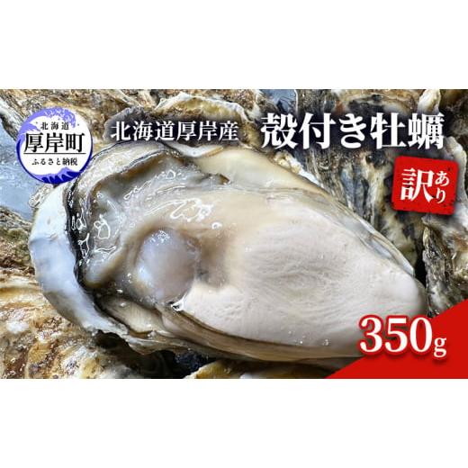 ふるさと納税 北海道 厚岸町 訳あり 北海道 厚岸産 殻付き 牡蠣 350g