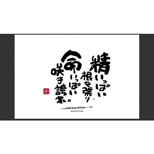 ふるさと納税 雑貨・日用品 絵画 奈良県 桜井市 JDE-1. 書道家もーちゃん もーちゃん額 L/8.精いっぱい根を張り、命いっぱい咲き誇れ。 8.精いっぱい根を張…