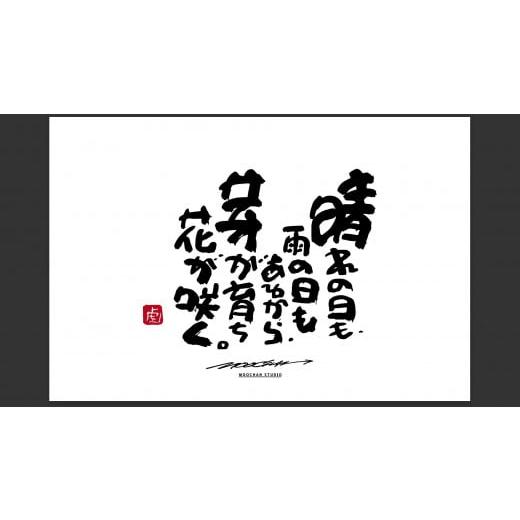 ふるさと納税 雑貨・日用品 絵画 奈良県 桜井市 JDE-1. 書道家もーちゃん もーちゃん額 L/29.晴れの日も、雨の日もあるから、芽が育ち花が咲く。 29.晴れの…