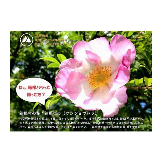 ふるさと納税 美容 神奈川県 箱根町 箱根ルルルン〜やさしいバラの香り〜フェイスマスク 全168枚（6箱セット） | マスク フェイスマスク セット 保湿 整肌 プ…_8