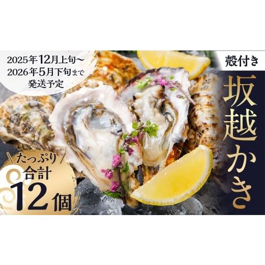 ふるさと納税 牡蠣 生牡蠣 兵庫県 赤穂市 牡蠣 坂越かき 殻付き牡蠣 12個 カキ 牡蠣 かき 海の幸 魚介 貝 2025年12月上旬-2026年5月下旬まで発送予定