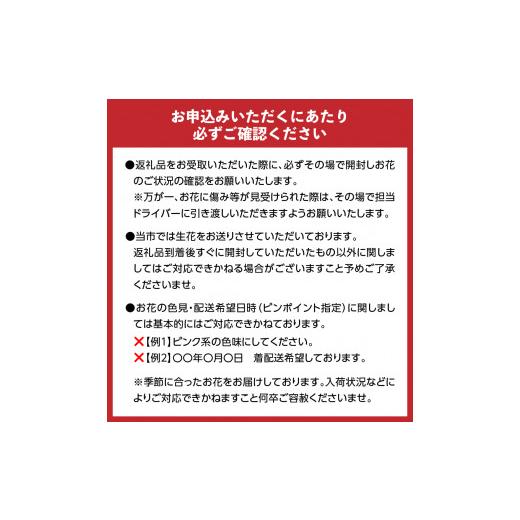 ふるさと納税 雑貨・日用品 花 山梨県 甲府市 3ヶ月定期便 花のある生活〜小松弘典が手がけるフラワーアレンジメント〜イメージ別に選ぼう ポップなイメージ…