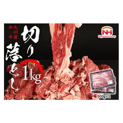 ふるさと納税 宮崎県 日向市 訳あり 牛肉 九州産 和牛 切り落とし 500g×2p 計1kg [日本ハムマーケティング 宮崎県 日向市 452060541] 肉 牛 すき焼き 精肉 冷…｜furusatochoice｜02