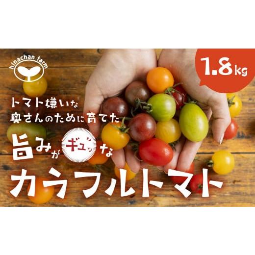 ふるさと納税 愛知県 田原市 [5月末金額改定予定][先行予約]2025年発送 カラフルトマト 1.8kg