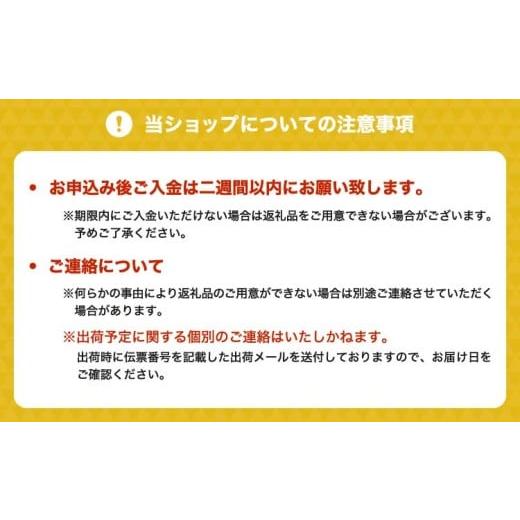 ふるさと納税 お茶類 熊本県 宇城市 九州産 ごぼう茶 30包 12袋 お茶 ティーバッグ ゴボウ茶 牛蒡 ティーバッグ ティーパック 国産 九州産_5