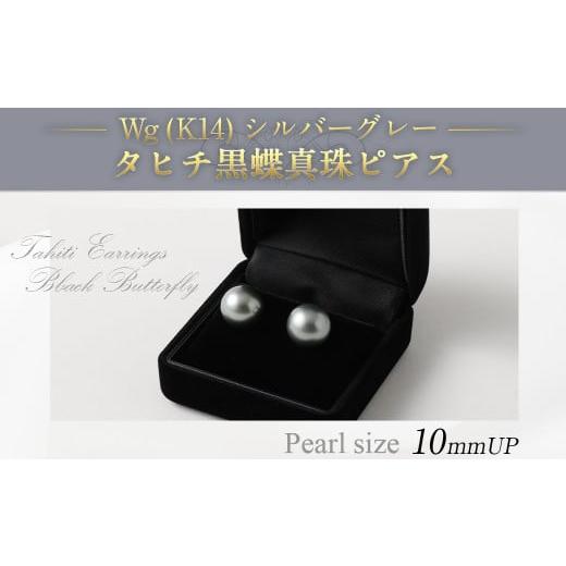 ふるさと納税 アクセサリー ピアス 福岡県 嘉麻市 Wg(K14)シルバーグレー タヒチ黒蝶真珠ピアス