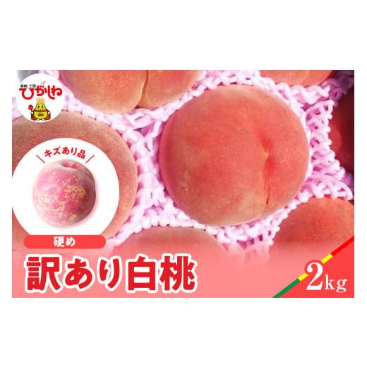 ふるさと納税 もも 山形県 東根市 2026年産 白桃 品種おまかせ 訳あり2kg(硬め) 松栗提供 山形県 東根市 hi062-058 硬め