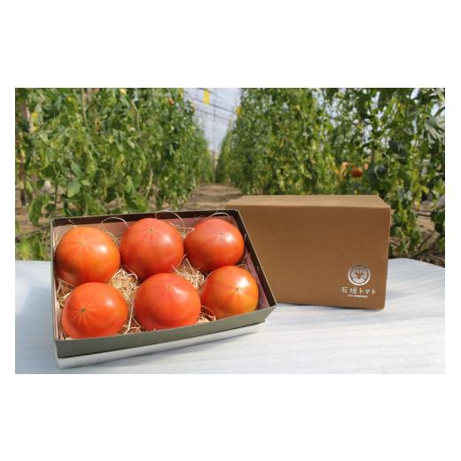 ふるさと納税 野菜類 トマト 高知県 仁淀川町 石垣トマトAランク(糖度7〜9度) 4月発送 4月発送