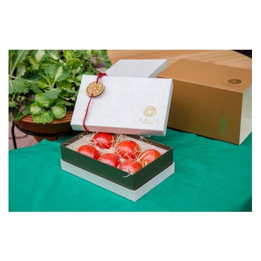 ふるさと納税 野菜類 トマト 高知県 仁淀川町 石垣トマトSクラス(糖度8〜10度) 4月発送 4月発送