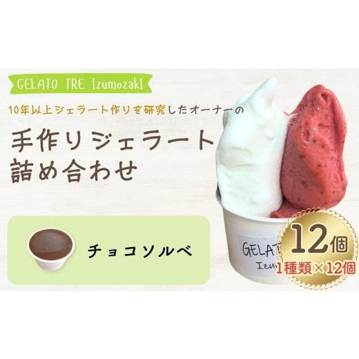 ふるさと納税 アイス・ヨーグルト ジェラート 新潟県 出雲崎町 手作りジェラート アイスクリーム 詰め合わせ 1種類 選べる(12個入)「チョコ」 新潟県 出雲…