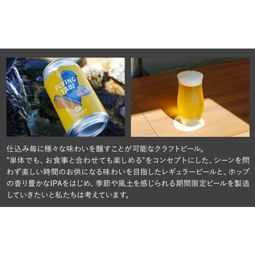 ふるさと納税 ビール 地ビール 愛媛県 西条市  3回定期便 クラフトビール 6缶セット 6缶×3回［合計18缶］ 2ヶ月に1回 偶数月に発送 GROUNDTAP BREWERY ｜ ビ…の画像