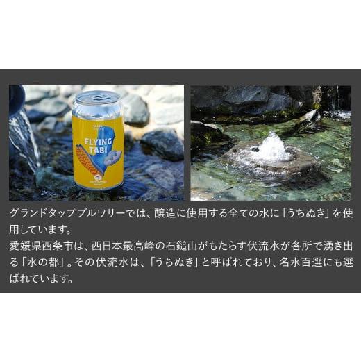 ふるさと納税 ビール 地ビール 愛媛県 西条市  3回定期便 クラフトビール 6缶セット 6缶×3回［合計18缶］ 2ヶ月に1回 偶数月に発送 GROUNDTAP BREWERY ｜ ビ…の画像