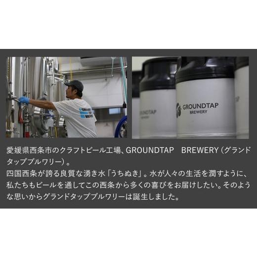 ふるさと納税 ビール 地ビール 愛媛県 西条市  3回定期便 クラフトビール 6缶セット 6缶×3回［合計18缶］ 2ヶ月に1回 偶数月に発送 GROUNDTAP BREWERY ｜ ビ…の画像