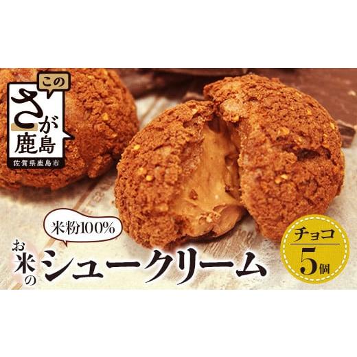 ふるさと納税 焼菓子・チョコレート 佐賀県 鹿島市 お米のチョコシュークリーム 5個入り AA-26 米粉 チョコレート シュークリーム 贈り物 贈答 プレゼント ス…