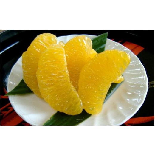 ふるさと納税 みかん・柑橘類 和歌山県 紀美野町 和歌山 由良町産 さつき はっさく 5kg 秀品 サイズおまかせ (Lまたは2Lいずれかお届け) / 八朔 柑橘 果物…